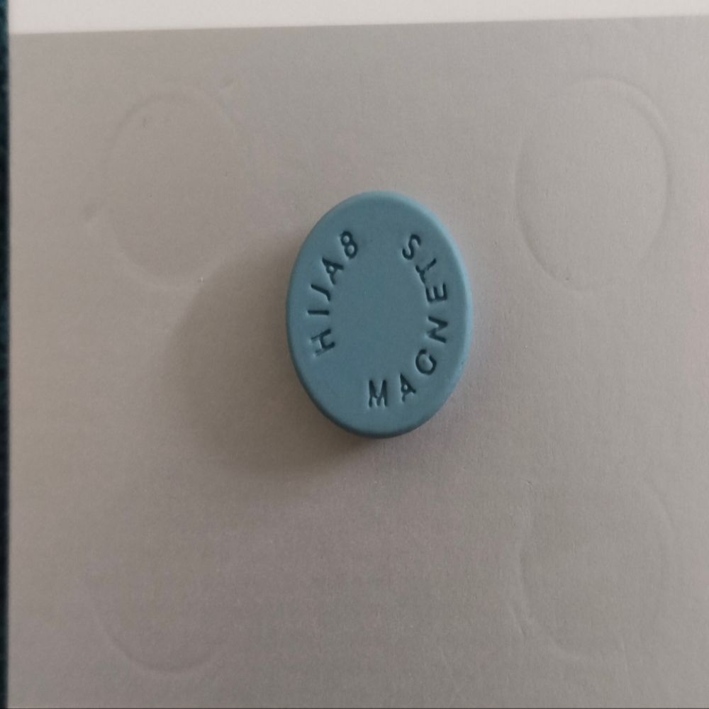 Blue Coin Magnet each pair