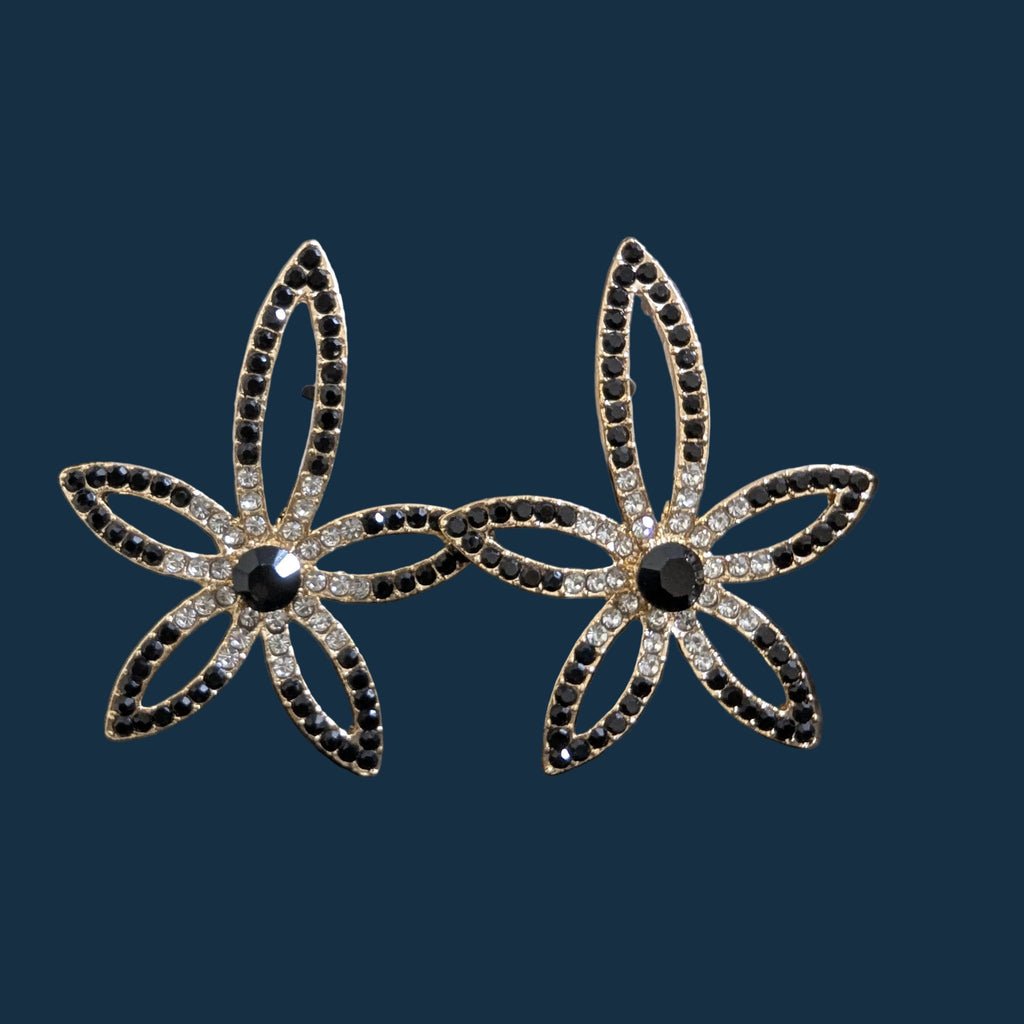 Ear Rings