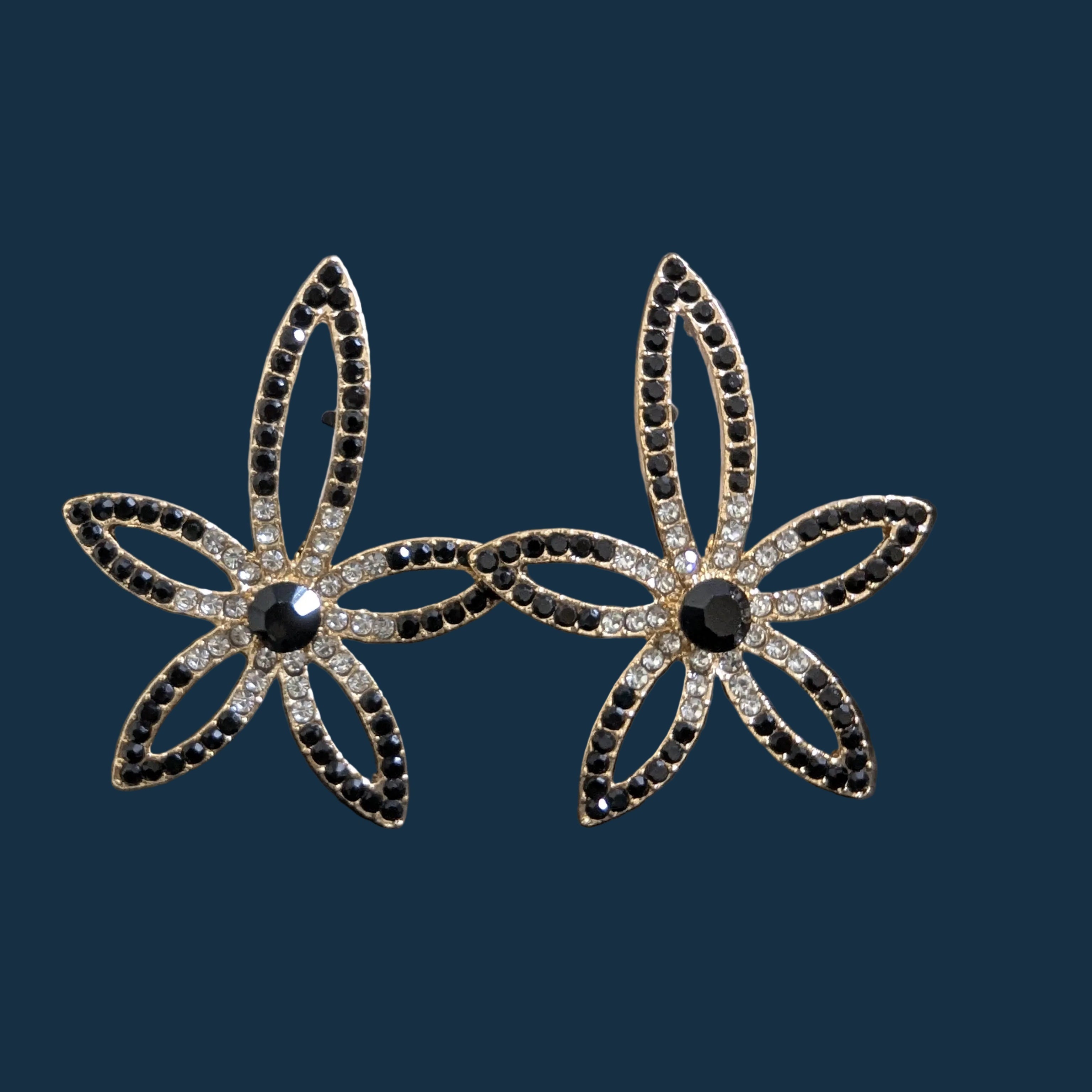 Ear Rings